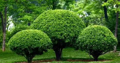 Sondeos pozos Fincas cinegéticas,malla simpletorsion,valladosfincasvallametalica, Cercadometalico,cerramientos Sondeos pozos Fincas cinegéticas,malla simpletorsion,valladosfincasvallametalica, Cercadometalico,cerramientos